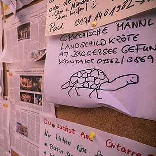 Galerie_Festivalguide_07